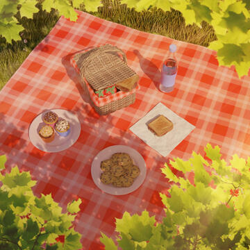 Picnic in the Woods